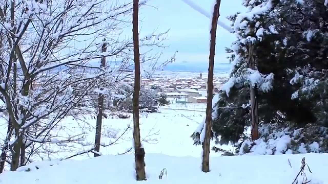 Almacelles sota la neu 2015
