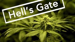 DARK WATERS OF CRIME: Hell’s Gate (or when marijuana kills) - FULL EPISODE