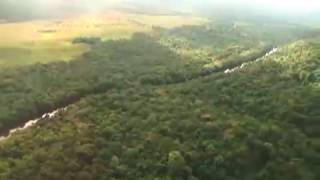 Programa TV - Amazonian Project