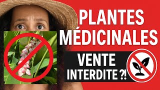 Nos Plantes Médicinales Sont Interdites À La Vente