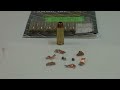 firearm