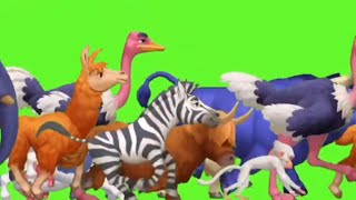 Cartoon And Animal Stampede Green Screen Remake L Green Screen Animal Video L No Copyright