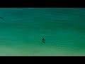 Destin Large Hammerhead Shark near miss! August 24th 2014