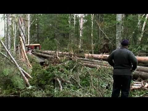 2011 Goldman Prize for Asia: Dmitry Lisitsyn, Russia