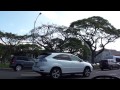 Honolulu