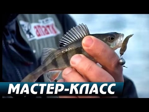 Мастер класс о рыбалки Мастер класс о рыбалки