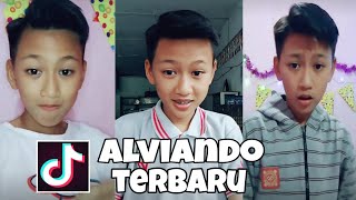 Tiktok Aviandoanak Smp Hits