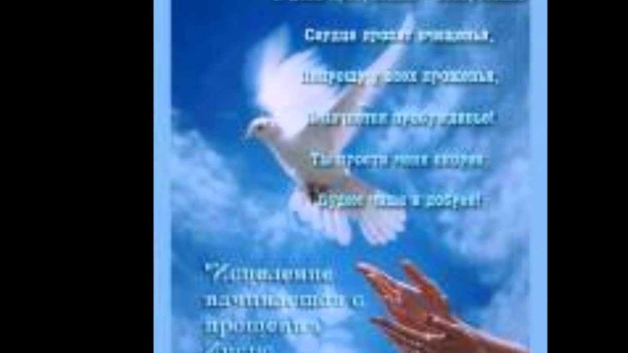 Поздравления с прощённым воскресеньем другу Поздравления с прощённым воскресеньем другу