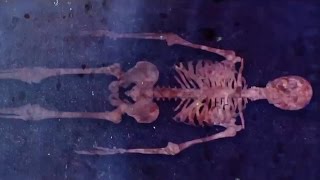 Watch Machine Head Ghosts Will Haunt My Bones video