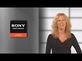 reset Sony Bravia
