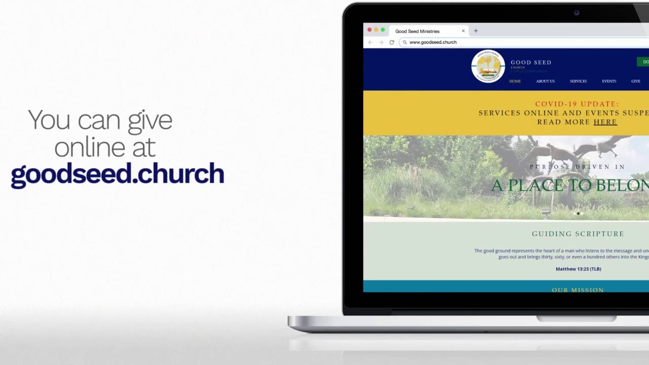 Good Seed Online- The New You- Week 4 Financially