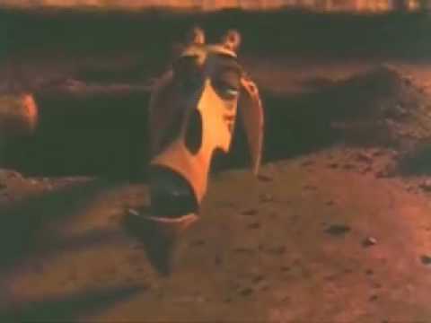 Melman Melman the Giraffe Photo (3295561) Fanpop