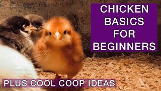 Raise Chicks & Ducks. Best Coop! Guard Dog. Funny Animals. Cute Pets.