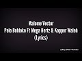 Malome Vector - Pelo Bohloko Ft Mega Hertz & Kopper Waleh(Official Lyric Video)