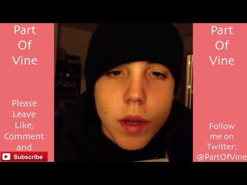 Funny Cats 2019 Vine Compilation BEST VINES ✔️ YouTube