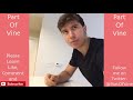 Funny Cats 2019 Vine Compilation BEST VINES ✔️ YouTube