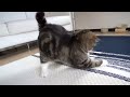 maru