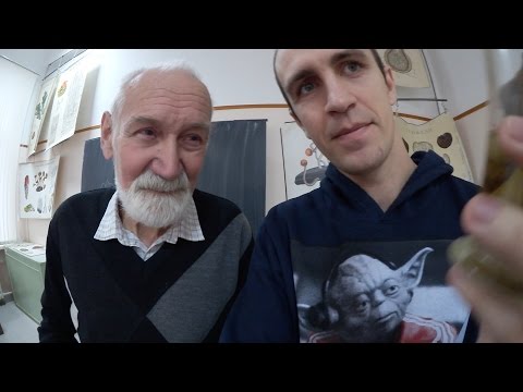 Пропуск в МГУ. Биофак Пропуск в МГУ. Биофак