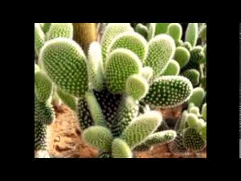 cruzweller57062 cruzweller57062