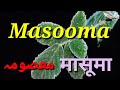 Masooma Name Meaning | Masooma Name Status | Masooma Name WhatsApp Status | Islamic Names