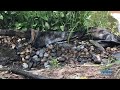 Pond Leak Detection Services In Des Moines, IA