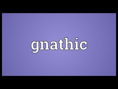 Header of gnathic