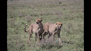 Susan's Custom Tours & Travel | Tanzania, 2014 Travel Slideshow