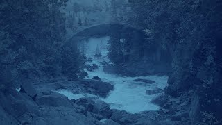 Sunday, June 26, 2022 - "No Longer Strangers"