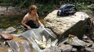Fishing Video: Amazing Fishing, Create Traps Catch Fish In The River,  Survival In The Forest