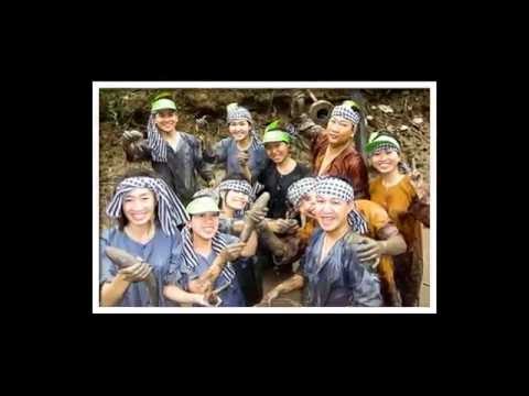 Khu du lịch sinh thái Cồn Phụng Bến Tre - Dulichmietvuon.com.vn