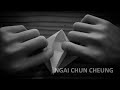 2 - Origami Canary Songbird (Preview)