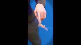 Do Leopard Geckos Bite? Heres The Real Answer.