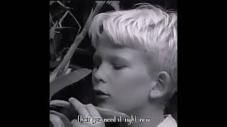 Nuts Lord Of The Flies Edit
