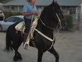 Baile caballo