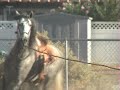 Baile caballo