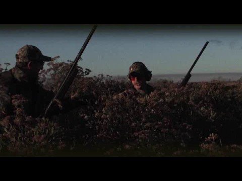 Browning Maxus Auto Shotgun -- Just Announced
