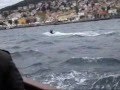 70 year old Turkish skier