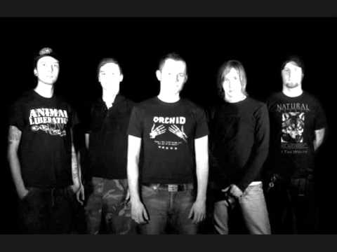 Frozen Minds, Aching Hearts Video