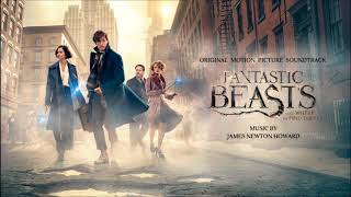 Fantastic Beasts - Newt Says Goodbye to Tina Theme Extended