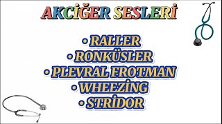 Akci̇ğer Sesleri̇