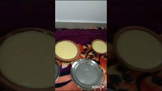 Yummy Yummy Misty Doi Vlogs