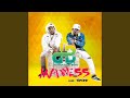 Madness (feat. Tipcee)