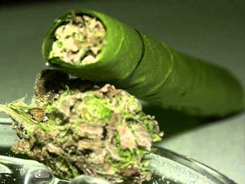so high t-rock slowed