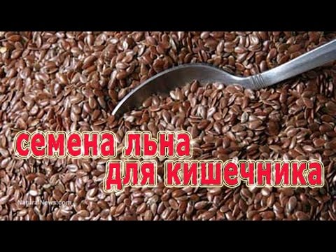 Биологический метод борьбы с заболеваниями и вредителями Читать "Тарас Бульба" - Гоголь Николай