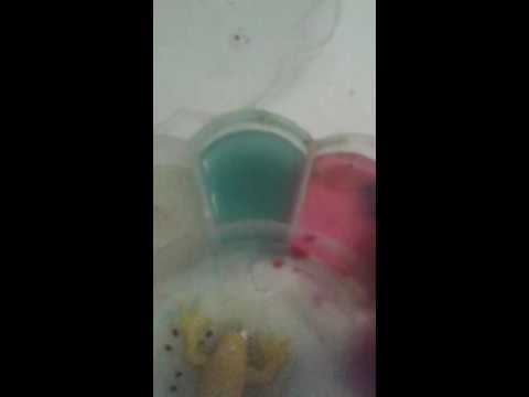 Slimer Video