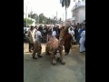 Camel cutting