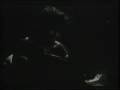 Angelo Branduardi - Concerto - 07 Notturno + La danza
