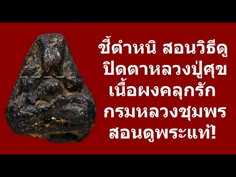 ชี้ตำหนิ สอนดู พระปิดตา หลวงปู่ศุข เนื้อผงคลุกรัก พิมพ์กรมหลวงชุมพร พระแท้ มาตรฐานวงการพระเครื่อง