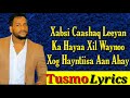 HEES CUSUB FAYSAL MUNIIR XABSI CAASHAQ 2020 HD Tusmo Lyrics