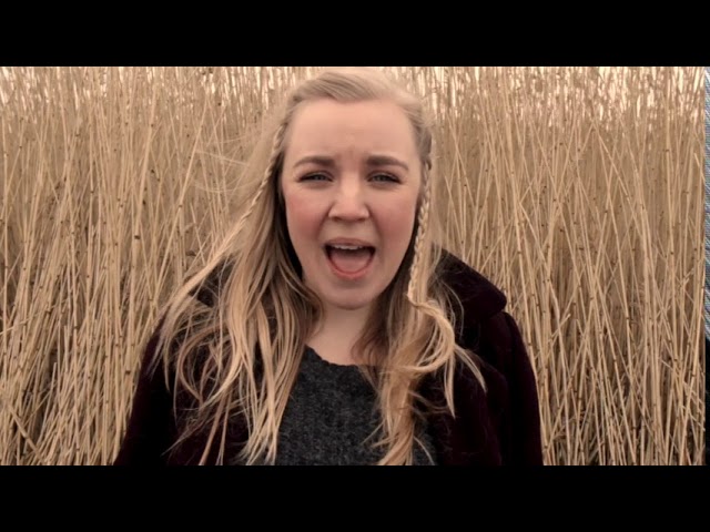 Alle videoer